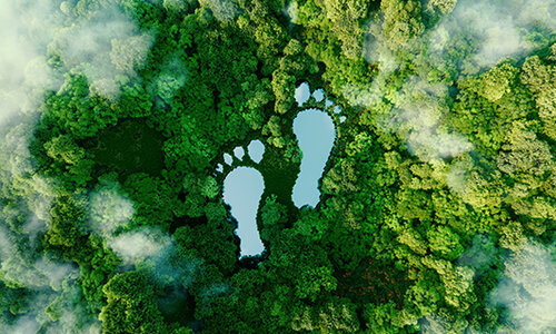 Aktionsmonat steht unter dem Motto "Anreise zu meinem Lehrgang bzw. Kurs mit öffentlichen Verkehrsmitteln"