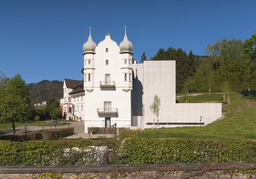 Neues Masterstudium Psychotherapie in Schloss Hofen